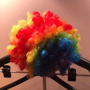 Imagineers Rainbow Clown Wig 🤡